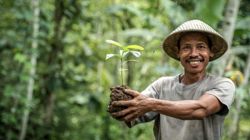 Plant a Tree !