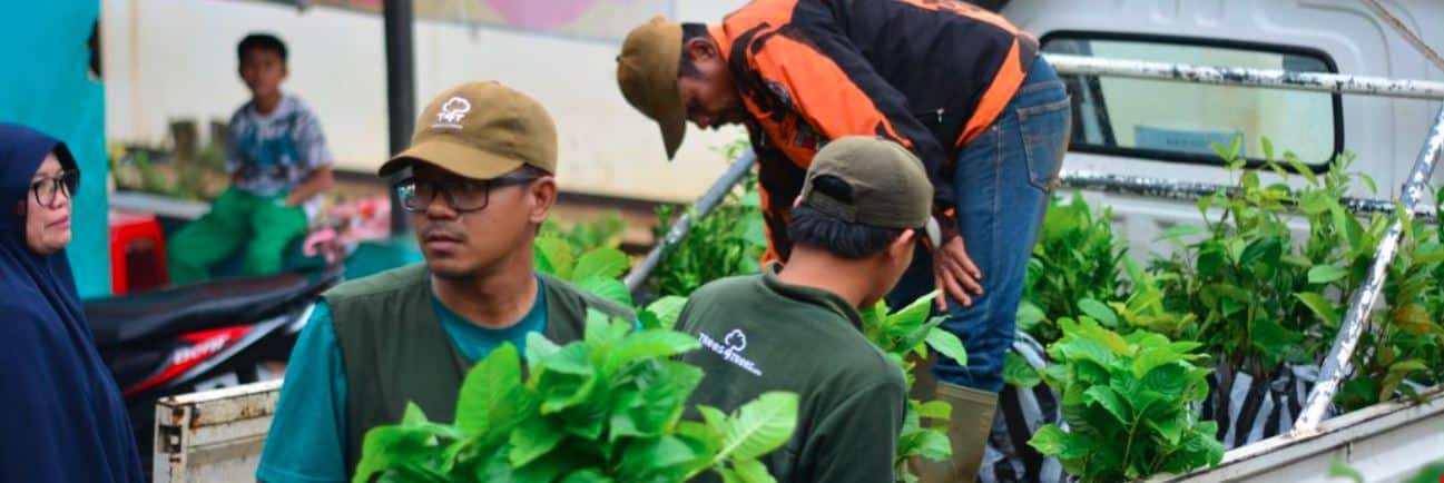 Quick Tree Planting Guides