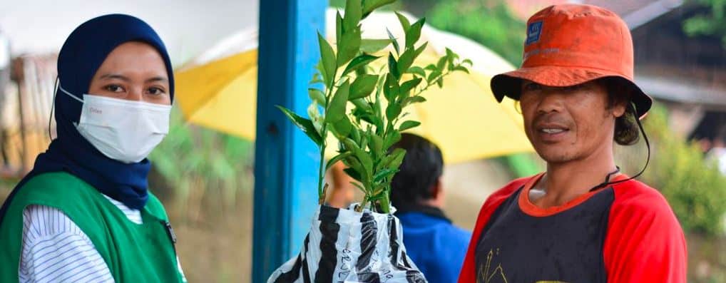 Reasons for You to Donate Trees Today