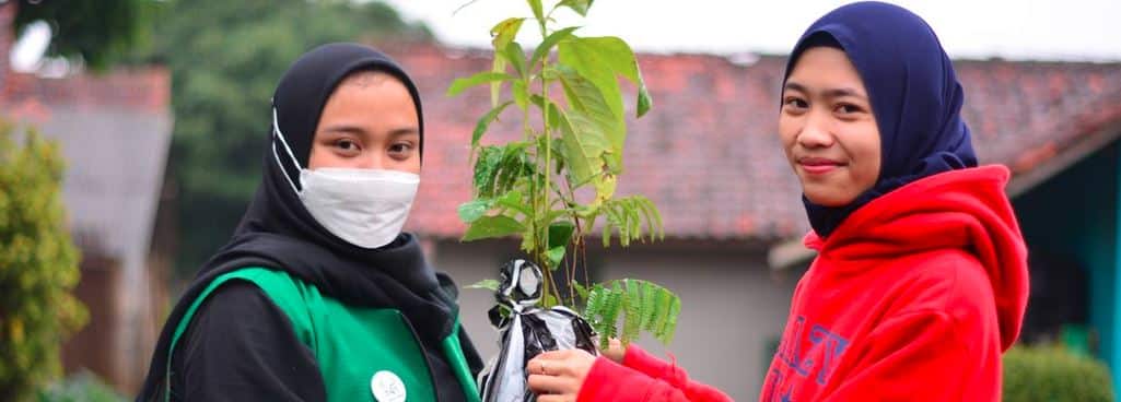 Top Charities to Donate Trees
