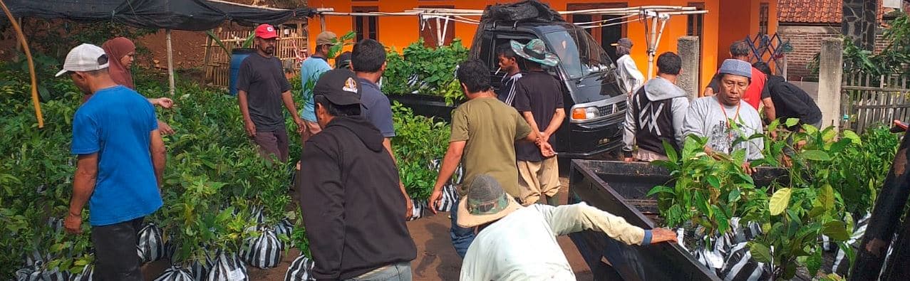 Reforestation Benefits