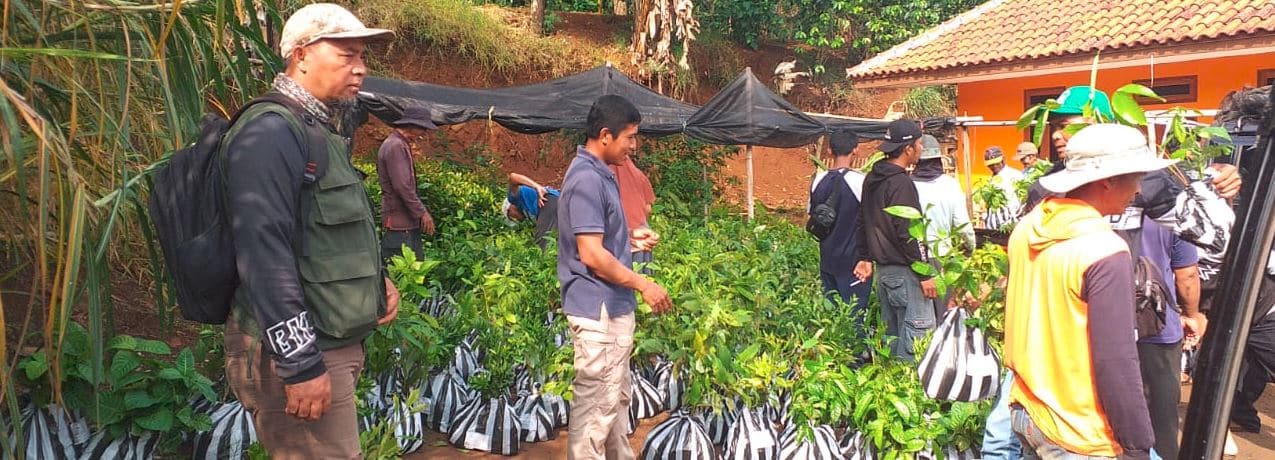 The Best Reforestation Program