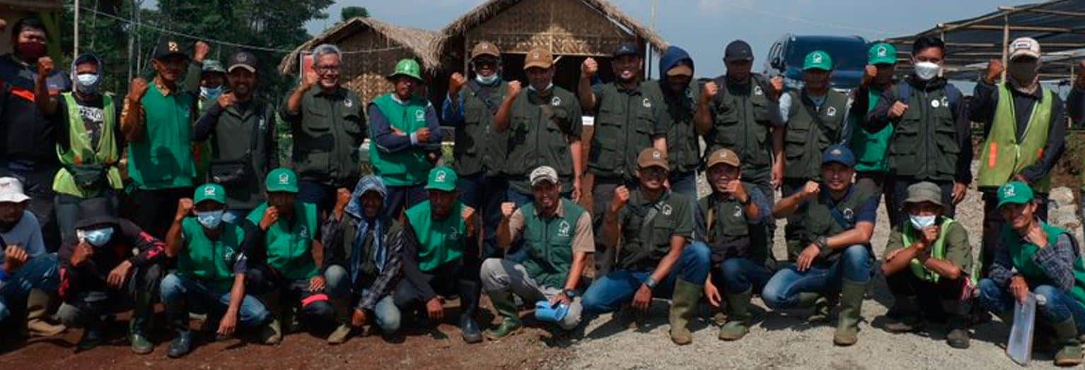 Reforestation Examples