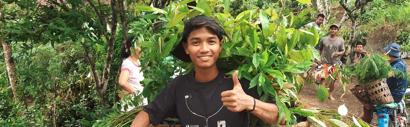 reforestation charity project