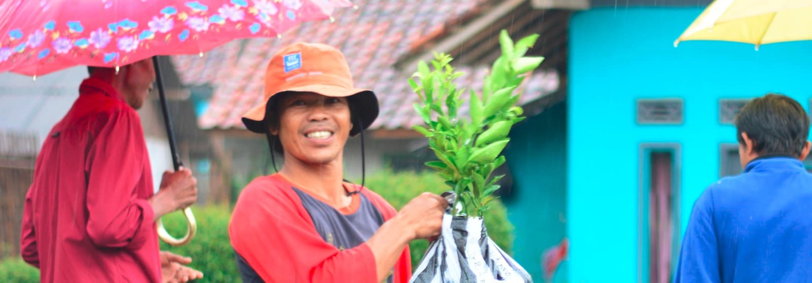 Reforestation Charity