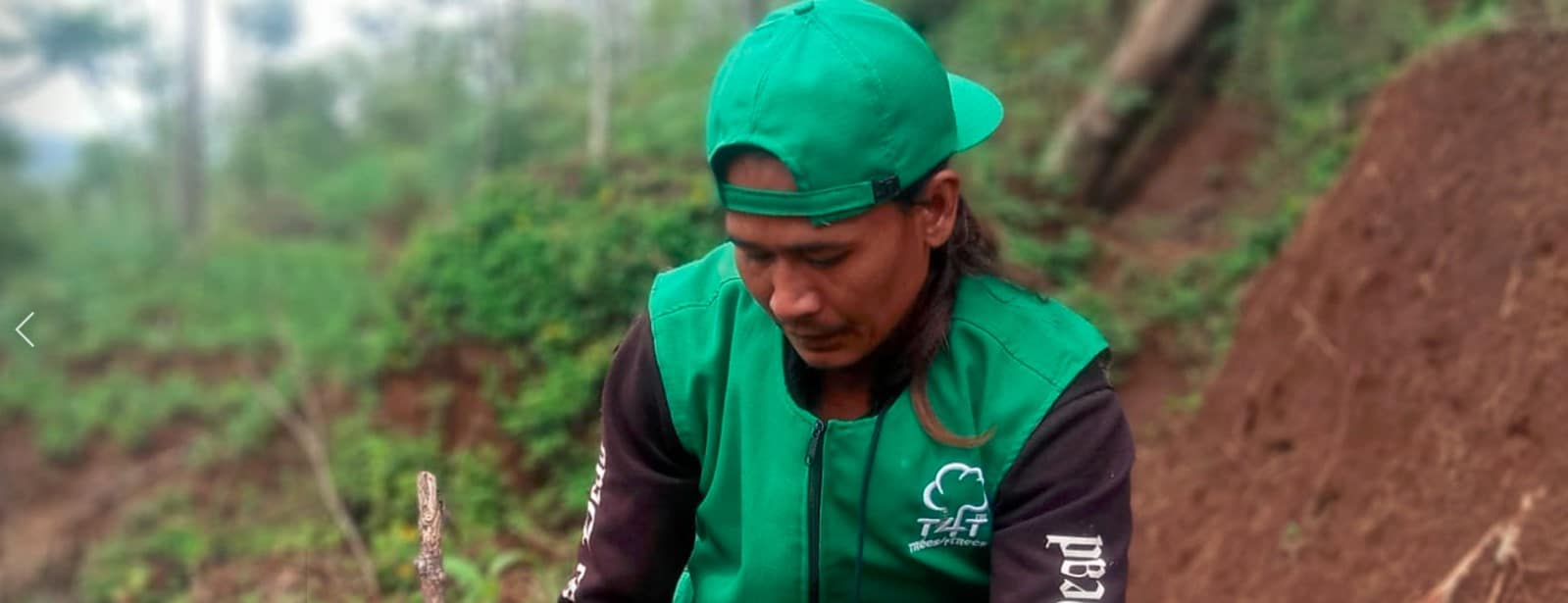 Reforestation Charity Program