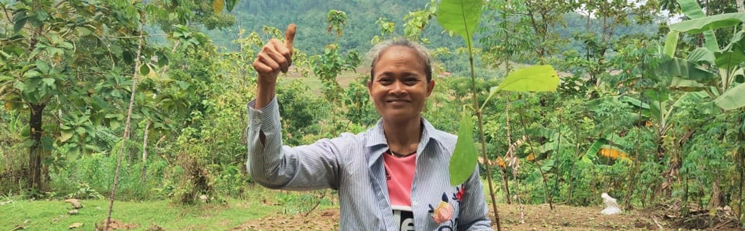 Best Reforestation Projects UK