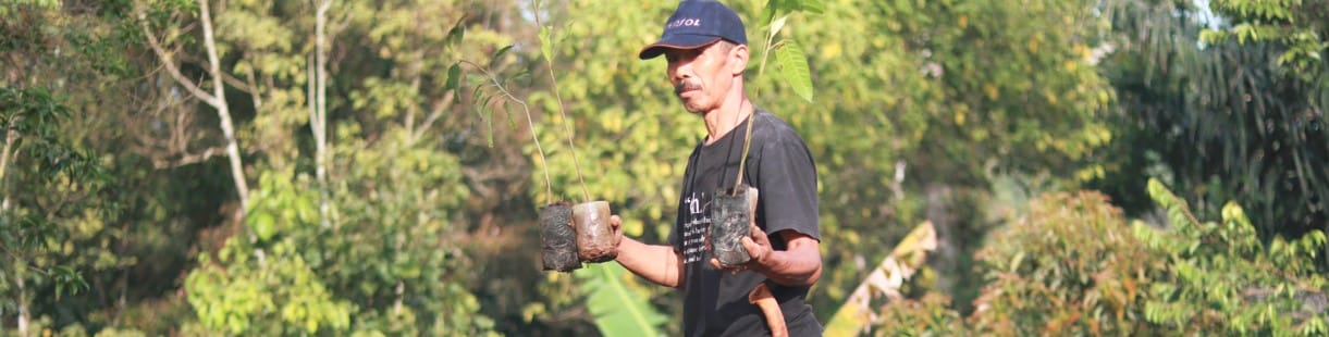 Best Reforestation Charity programs