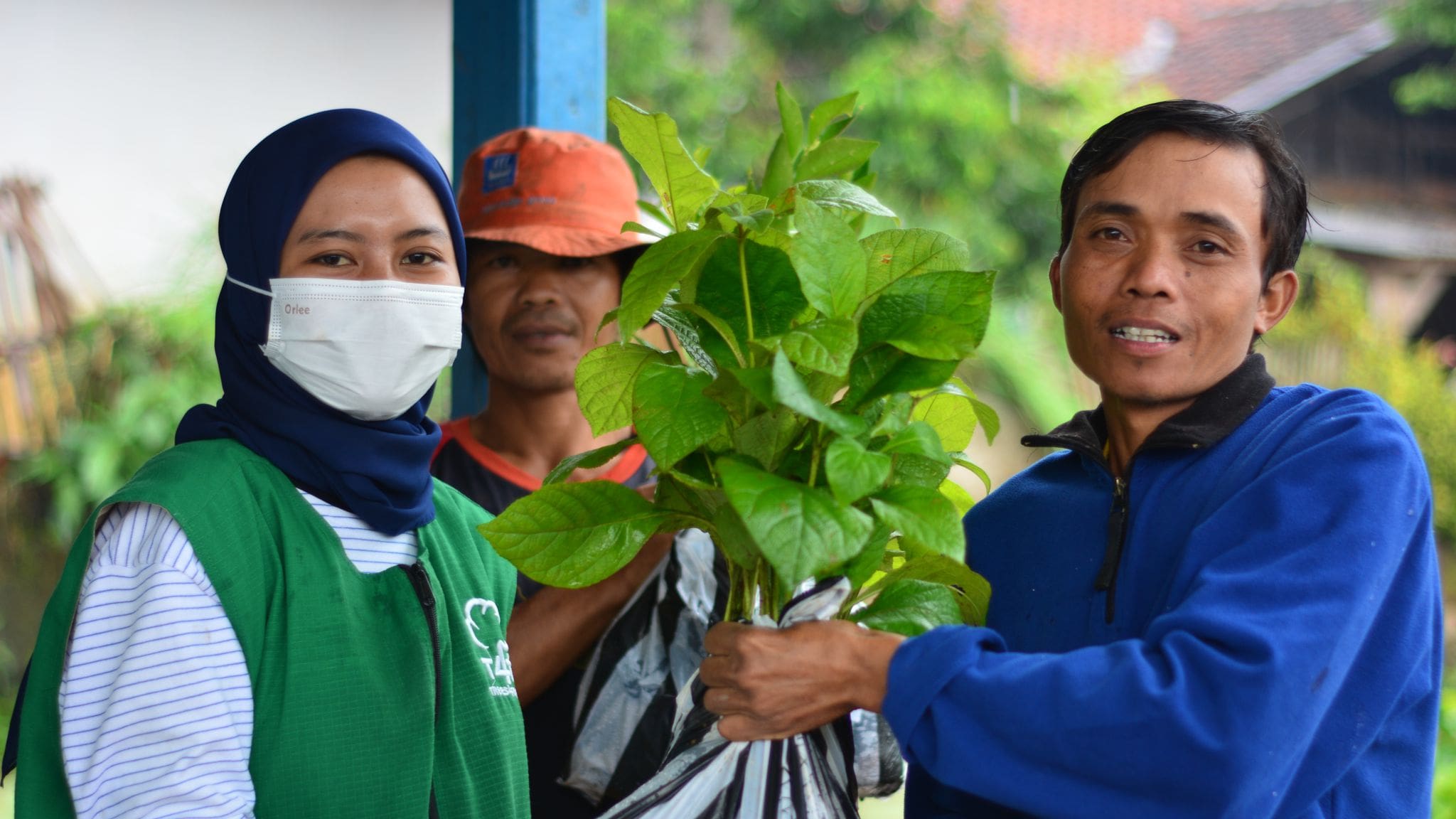 Community Forestry