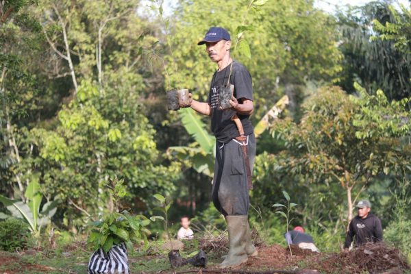 Best Reforestation Charity programs