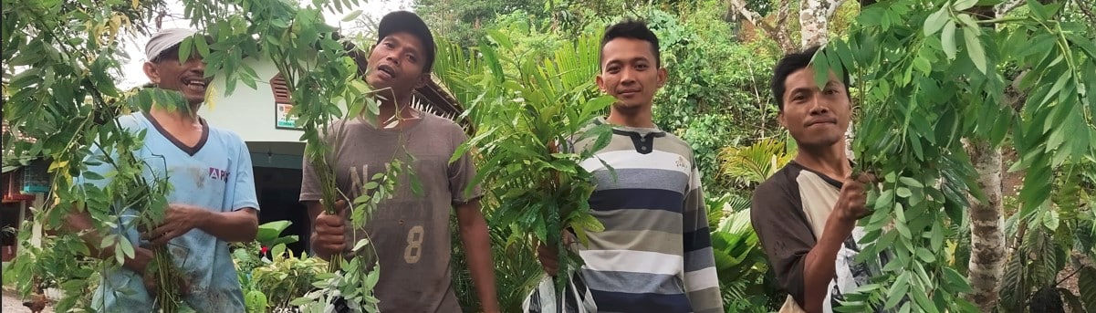 Reforestation projects UK