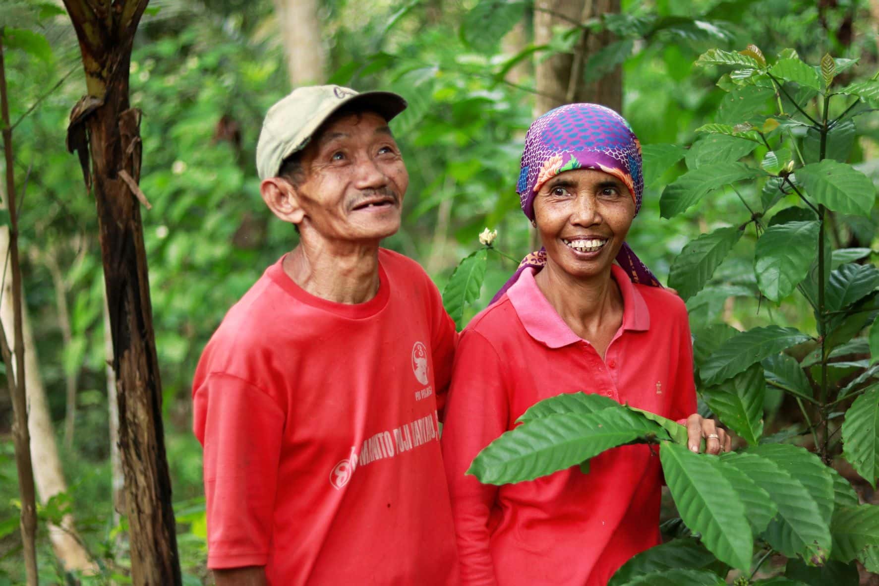 Sumeri, Farmer in Kalirejo Village, Kebumen