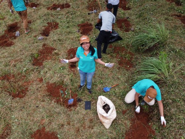6250 trees planted