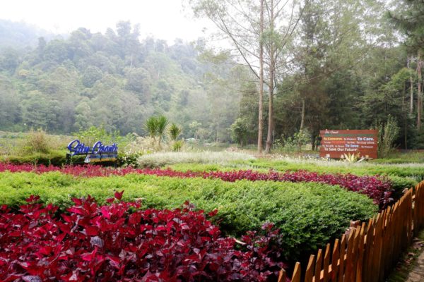 Citarum River