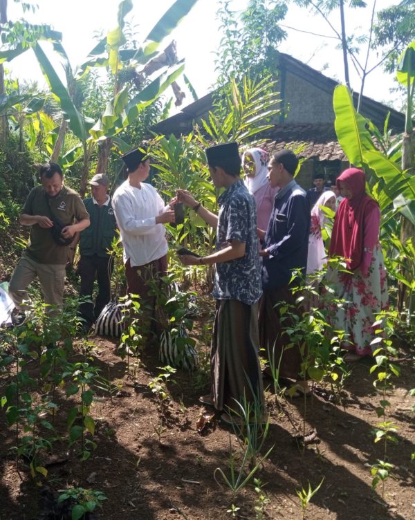 planting trees by Trees4Trees team