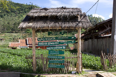 Agro Wisata