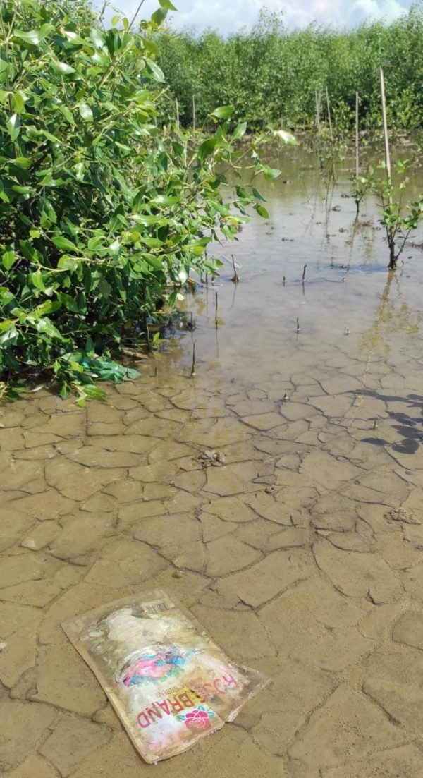 plastics waste in beach