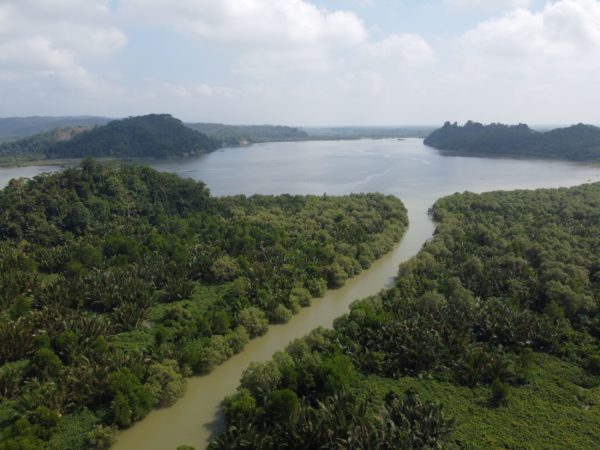 Planting mangrove in Ujung Alang Cilacap