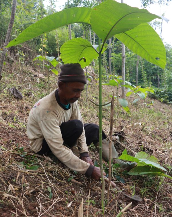Sar'an: Preserving Land and Planting Trees around Citarum Watershed for Greater Benefits