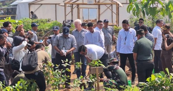 Planting trees to combat jakarta pollution