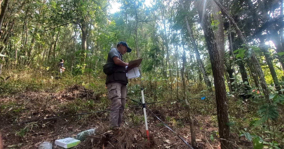The training also offered insights into the opportunities and advantages of harnessing the economic value of carbon – benefiting both the organization and local communities, projects implementation mechanisms, and government regulations related to carbon value initiatives. Beyond its environmental impact of reducing greenhouse gas emissions, Trees4Trees’ upcoming carbon projects also provide an economic boost to local communities by growing trees.