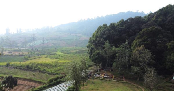 Travels in Java: Take a Dip in the Cibolang Hot Spring