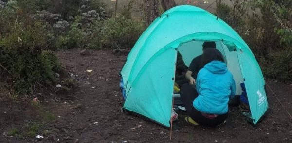 10 Eco-Friendly Gift Ideas for Christmas and New Year