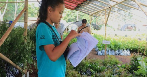 Seedlings Distribution in West Java