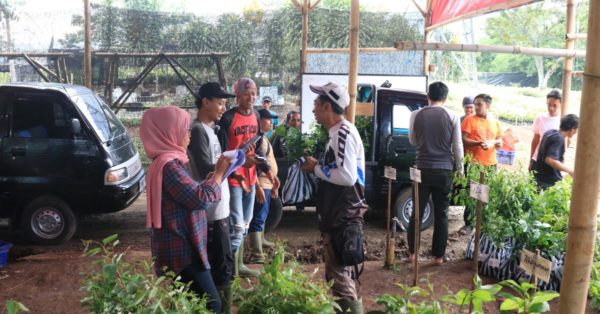 Tree-seedlings Distribution in West Java