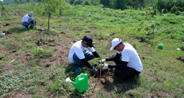tree-planting event