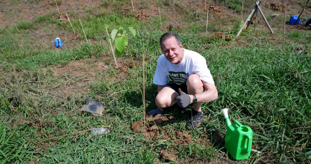 Microsoft tree-planting