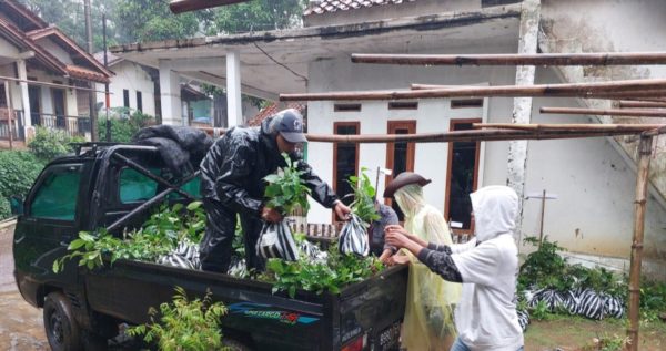 distribution process