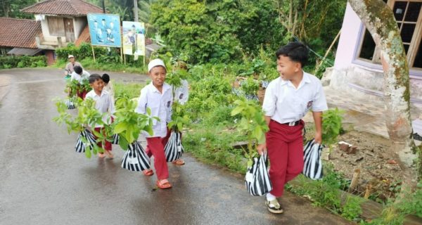 Activity hightlights; Distribution process