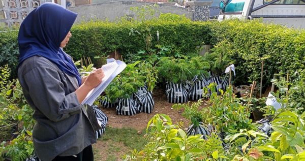 Activity hightlights; Trees4Trees field team distributed approximately 4.1 million seedlings to 18,800 farmers aiming