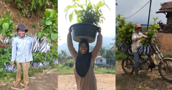 Farmers and tree seedling