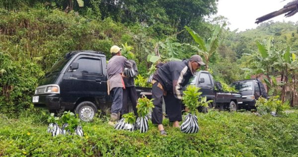 Distribution Process