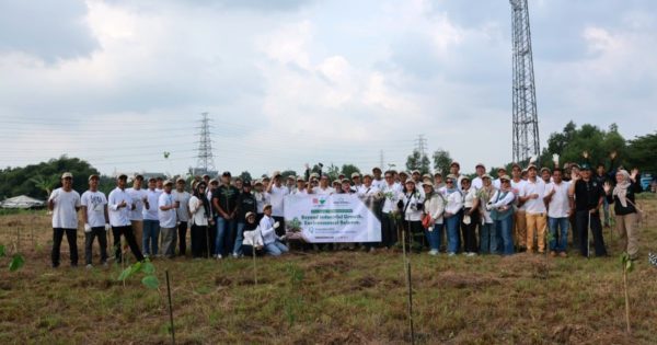 Jaya Obayashi staff plant trees