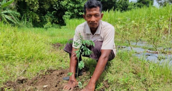 Farmer