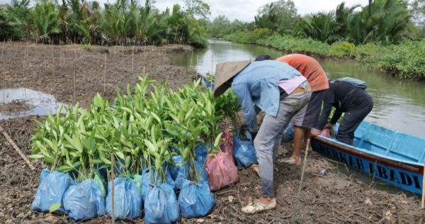 Strengthening Green: Trees4Trees Planting Season 2025–2026