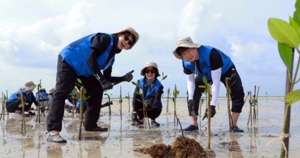 planting event