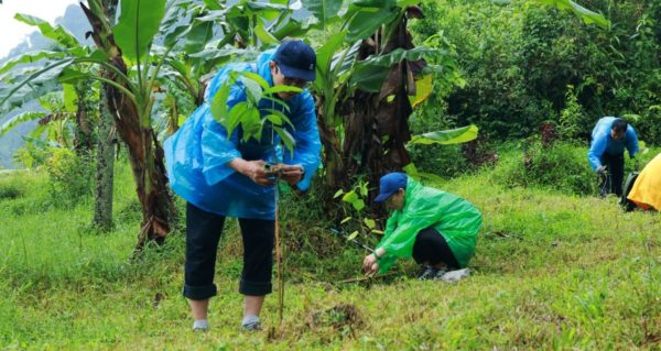 Tree Planting in Curug Cibingbing_Trees4Trees