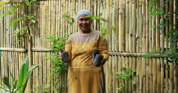 Planting Trees