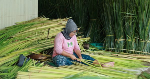 Rooted in Resilience: Women Farmers in Bali