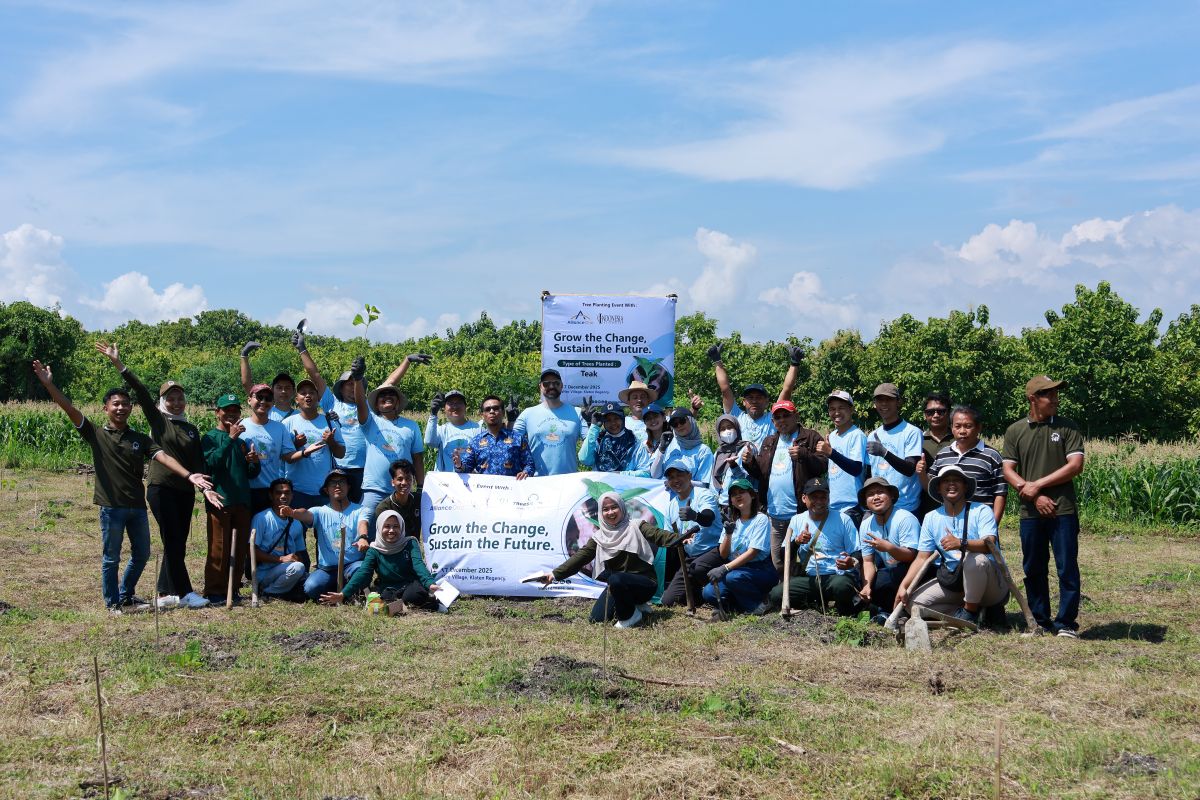 Scaling Impact Across Java