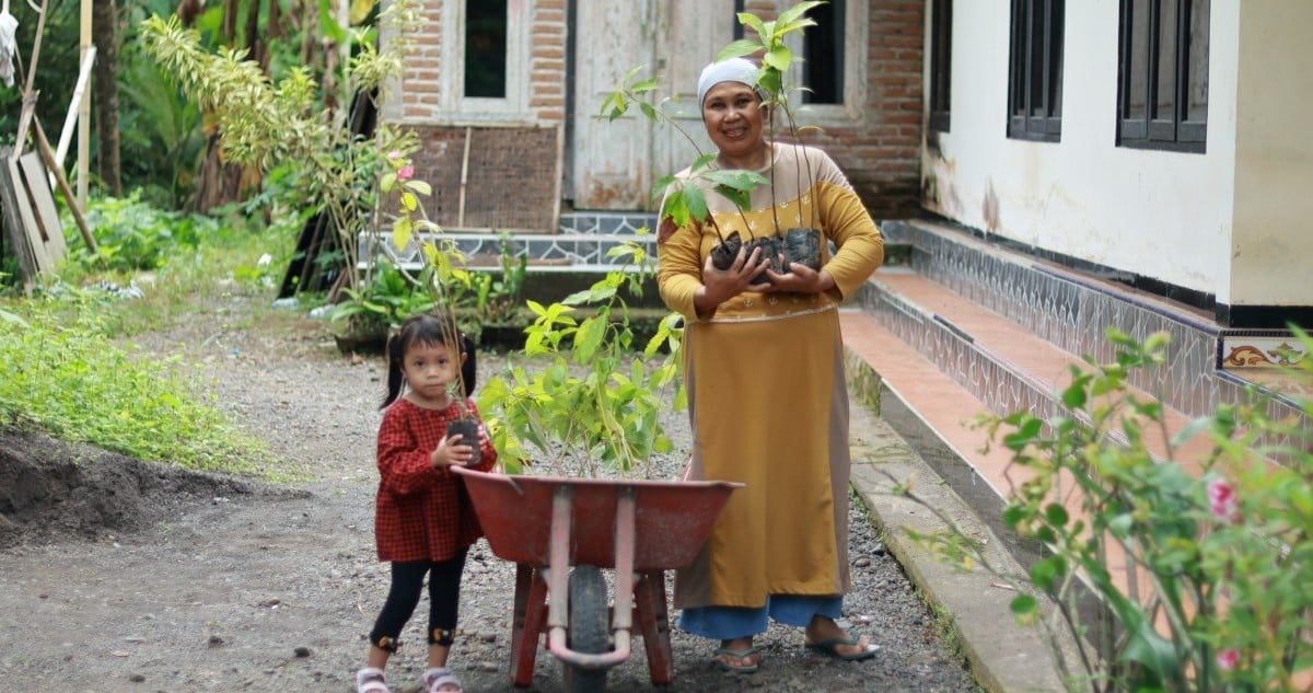 Rooted in Resilience